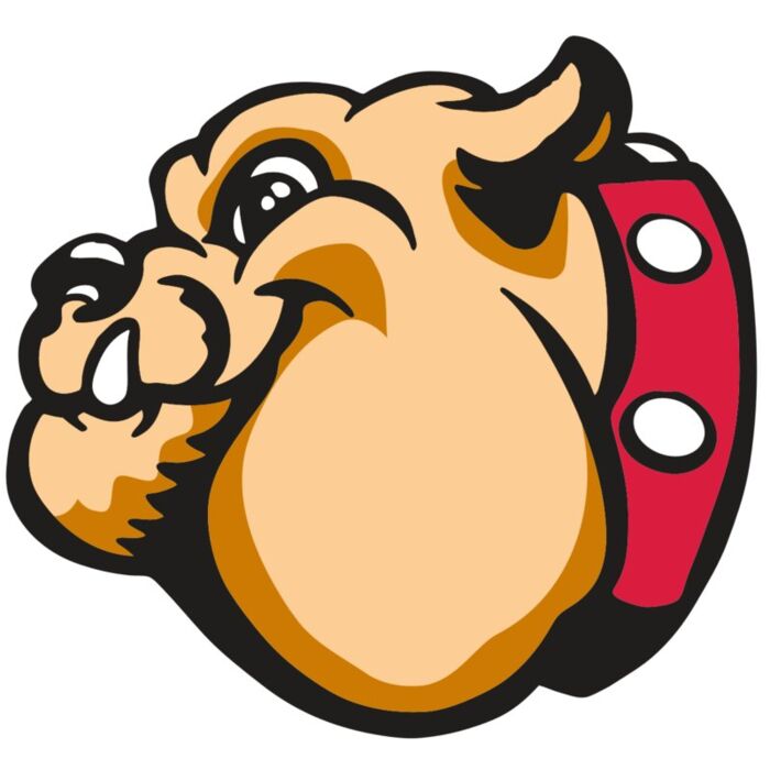 AR BDOG 76 RC Vignette