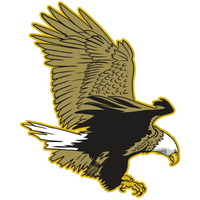 AR10 EAGLE 01 RQC Vignette