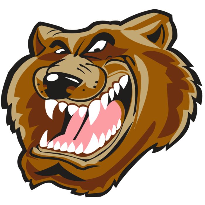 BEAR HD0503 RQC Vignette