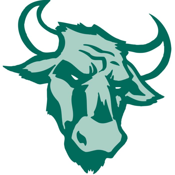 AR BULL 37 RC Vignette