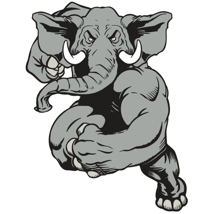 AR ELEPH 18 RC Vignette