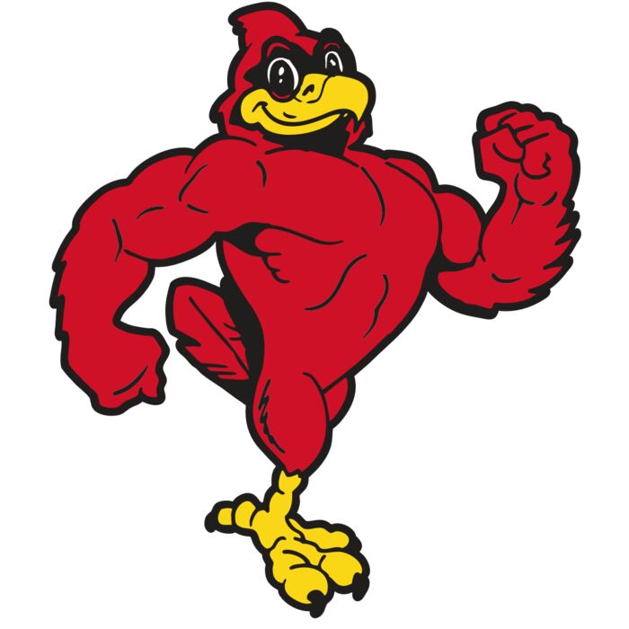 AR CARDINAL 41 RC Vignette