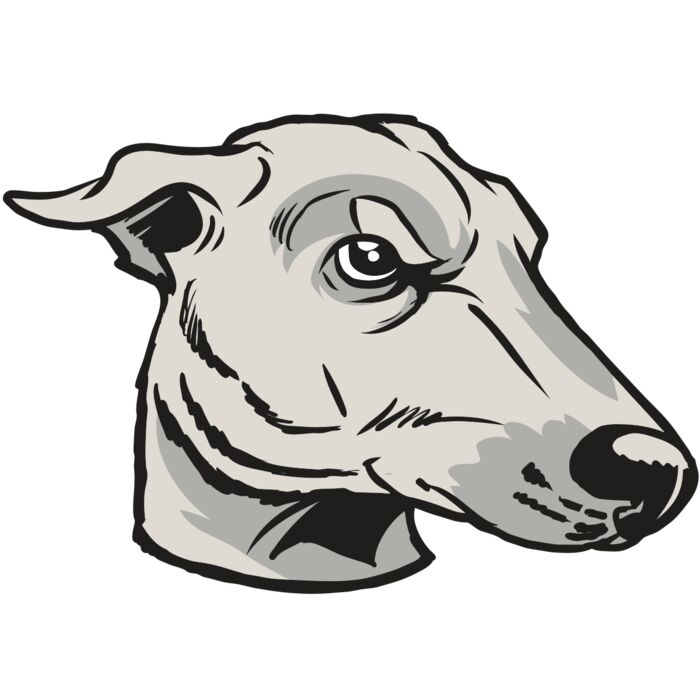 AR22 GREYHOUND 01 RQC Vignette