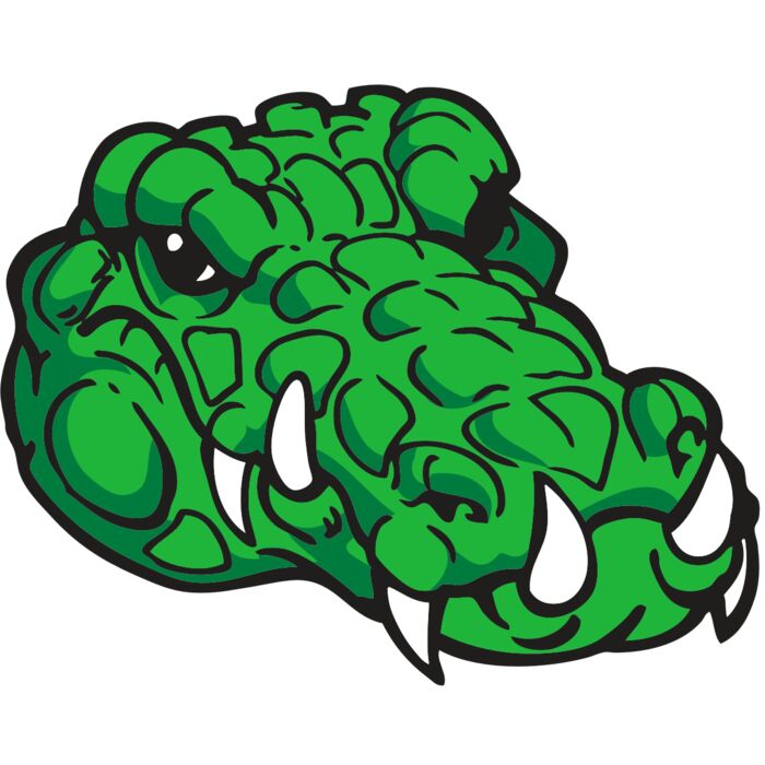 AR GATOR 33 RQC Vignette