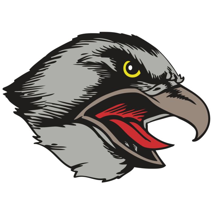 BAW HWK FLCN 13 RC Vignette