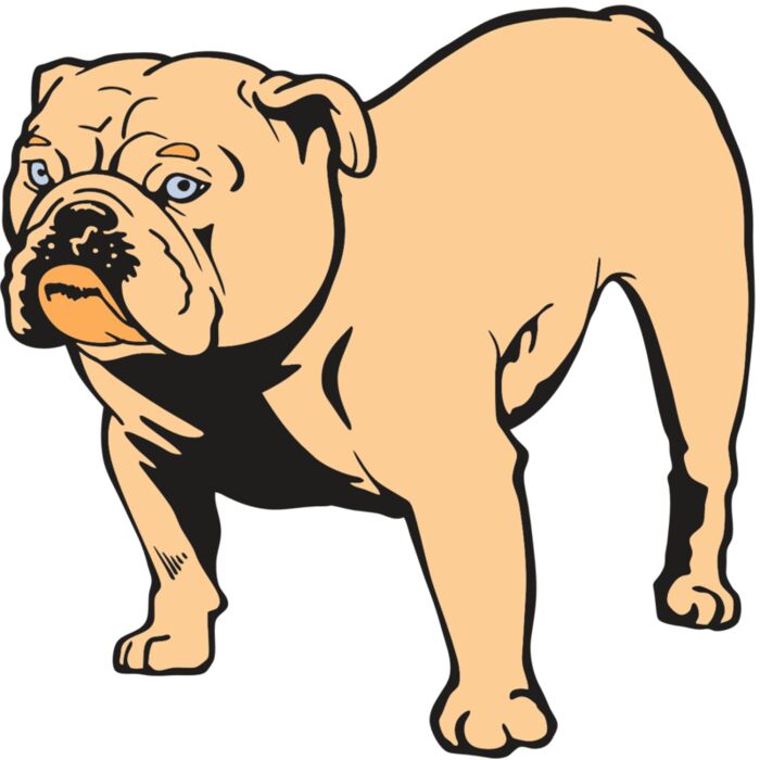 AR BDOG 85 RC Vignette