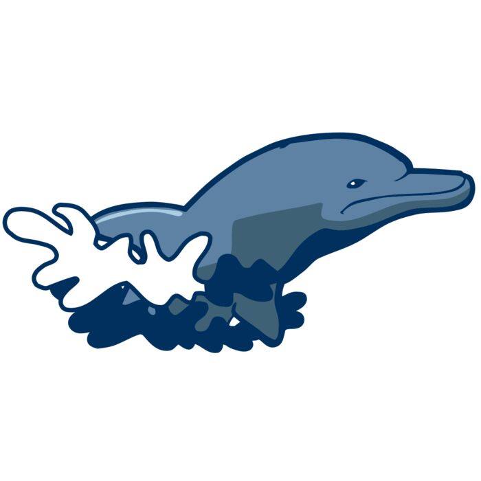 AR DOLPIN 10 RC Vignette