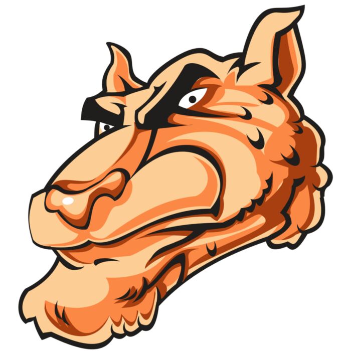 CHEETAH HD0502 RQC Vignette