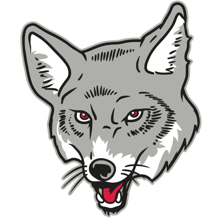 AR32 COYOTE 07 RQC Vignette