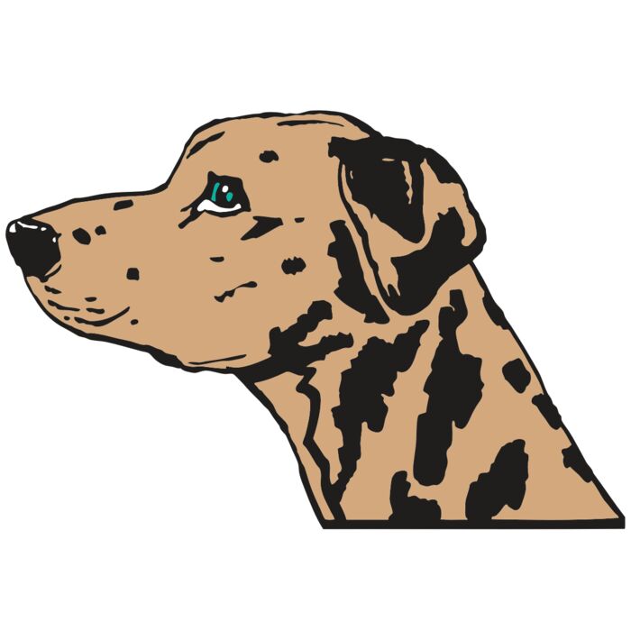 AR2 OTHER 03 RQC Vignette