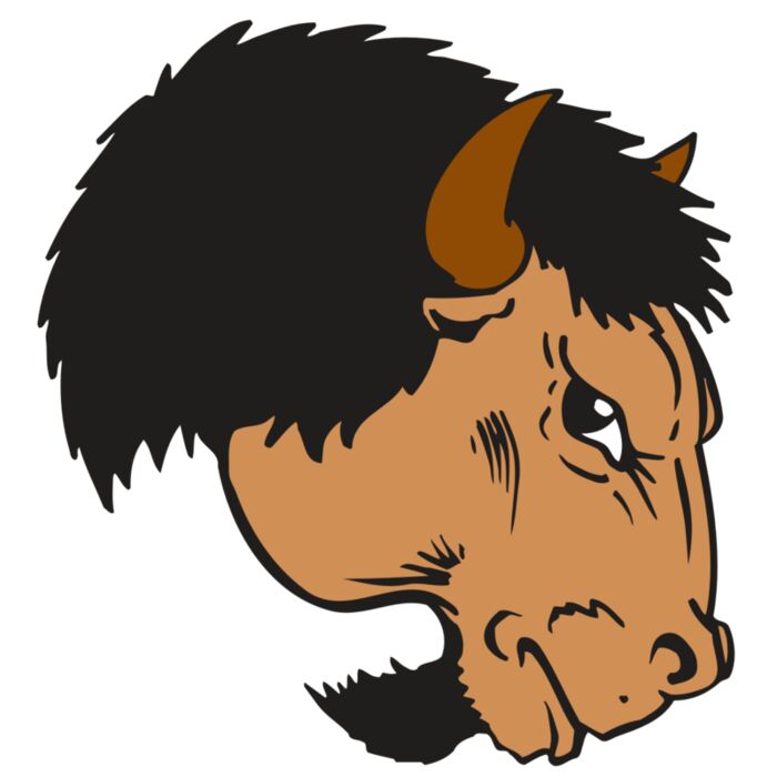 AR BUFFALO 16 RC Vignette