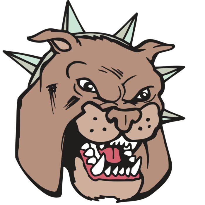 AR BDOG 40 RC Vignette