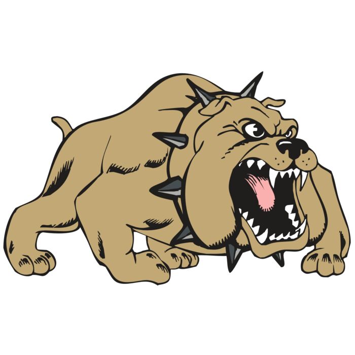 BAW BULLDOG 01 RC Vignette