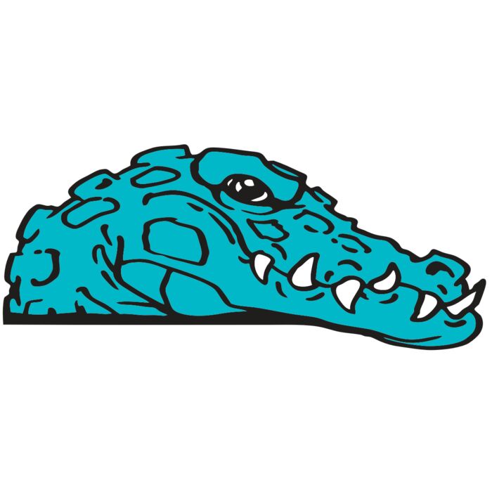 AR GATOR 36 RQC Vignette