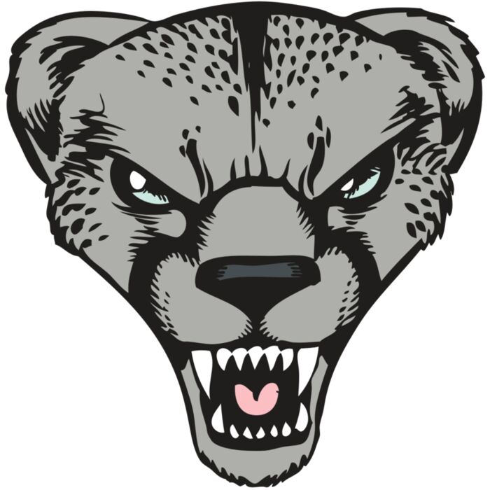 BAW CHEETAH 15 RC Vignette