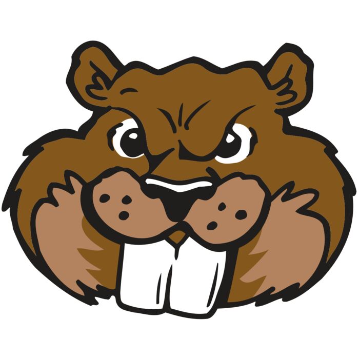 AR BEAVER 10 RC Vignette