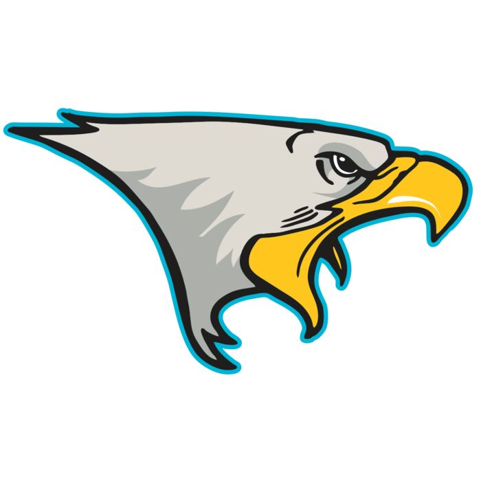 AR14 EAGLE FBALL 01 RQC Vignette