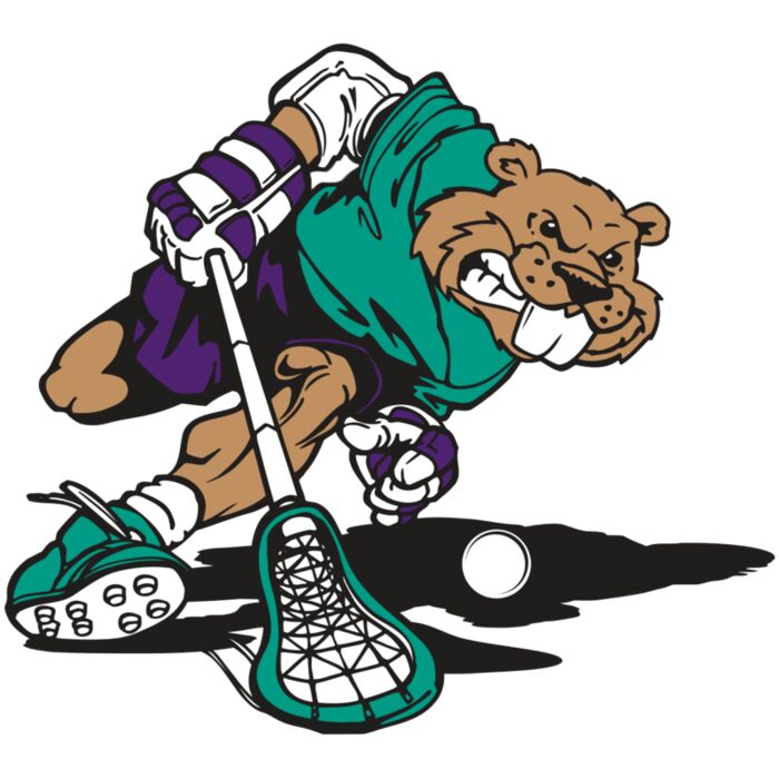 AR8 BEAVER 01 RQC Vignette