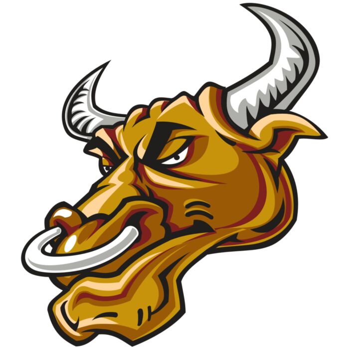 BULL HD0502 RQC Vignette