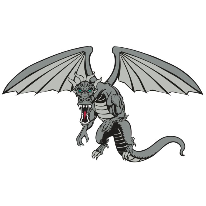 BAW DRAGON 04 RC Vignette