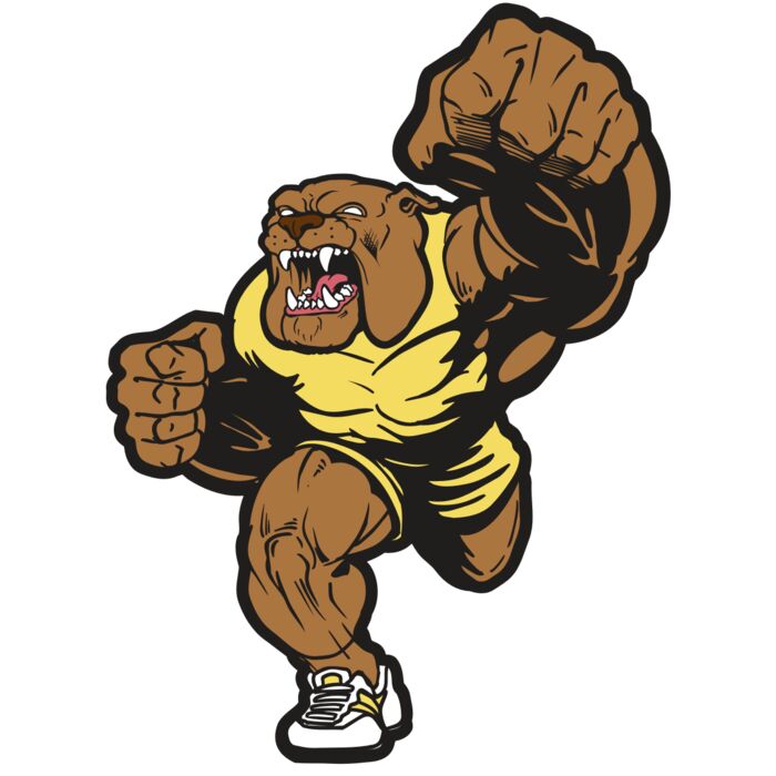 AR BDOG 67 RC Vignette