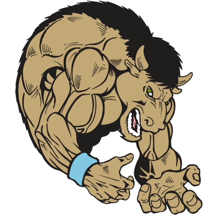 AR5 BUFFALO 12 RQC Vignette