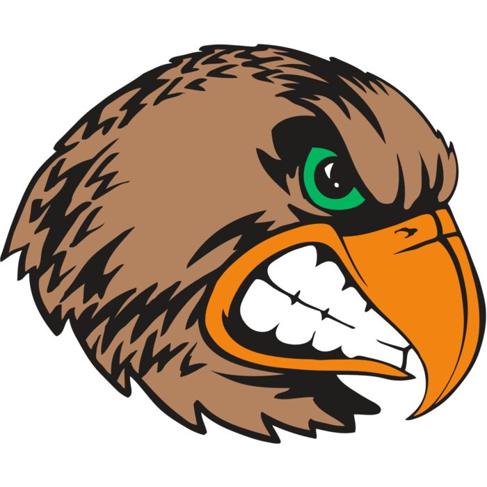 BAW HWK FLCN 09 RC Vignette