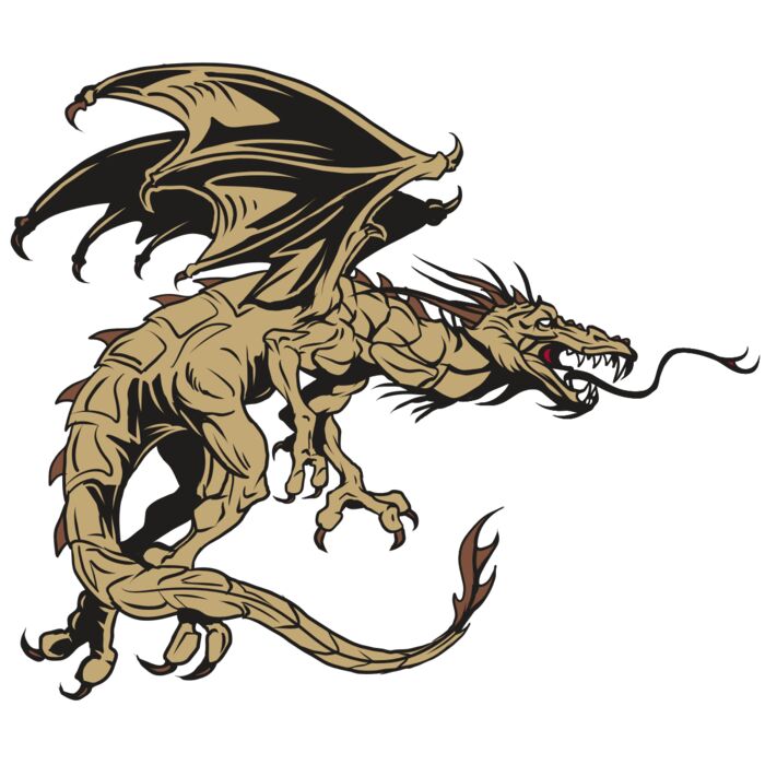 AR28 DRAGON 06 RQC Vignette