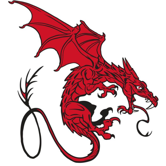 AR24 DRAGON 01 RQC Vignette