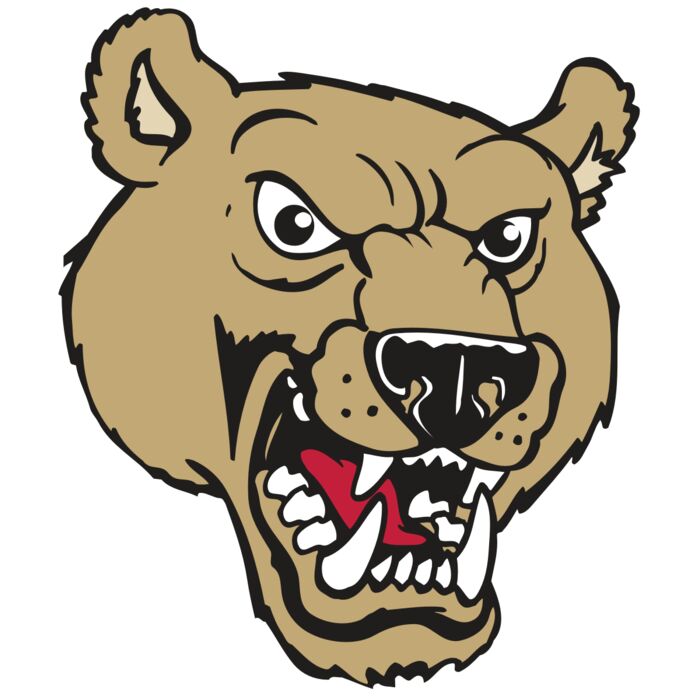 AR BEAR 09 RC Vignette