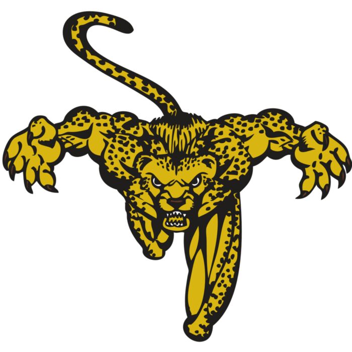 BAW CHEETAH 08 RC Vignette