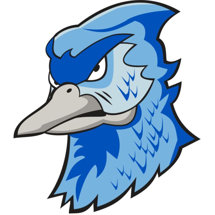 BLUEJAY HD0501 RQC Vignette