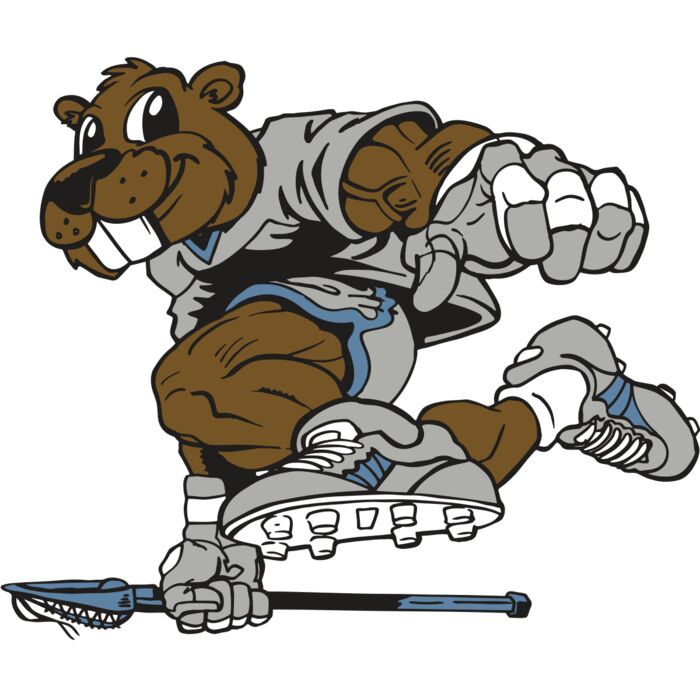 AR8 BEAVER 04 RQC Vignette