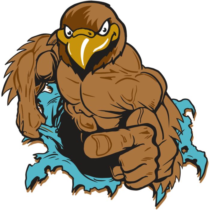 AR22 HAWK 01 RQC Vignette