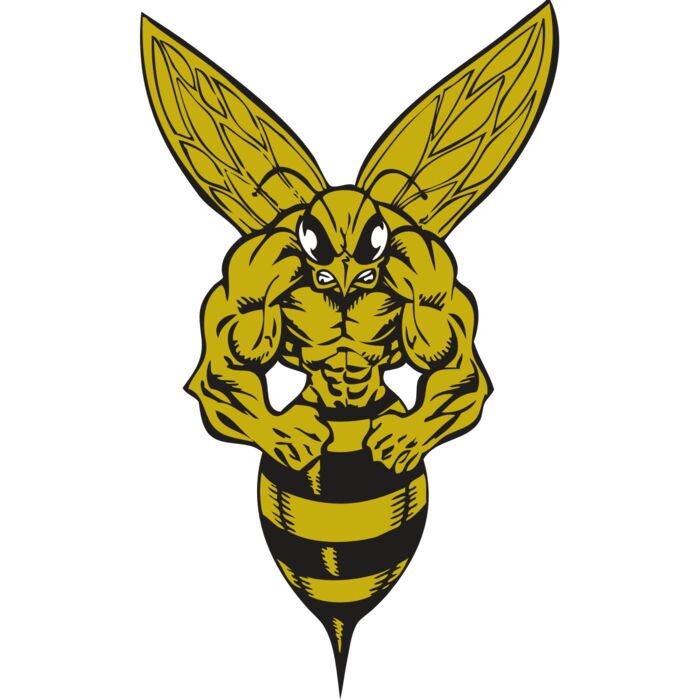 BAW BEE 06 RC Vignette