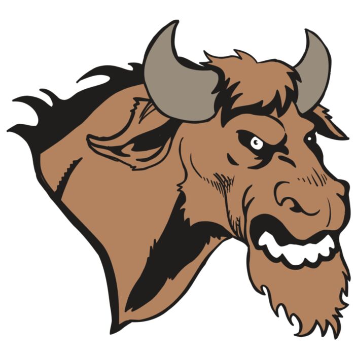 AR5 BULL 09 RQC Vignette