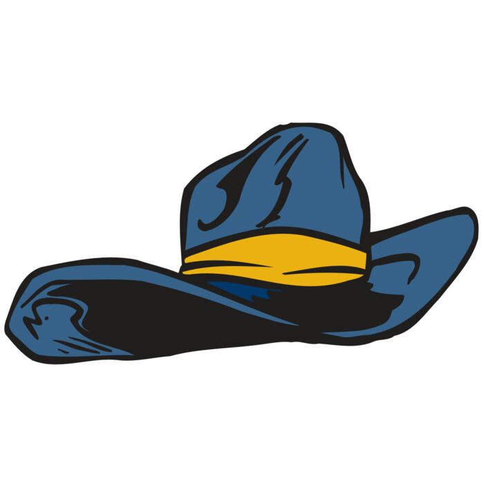 AR COWBOY 11 RC Vignette