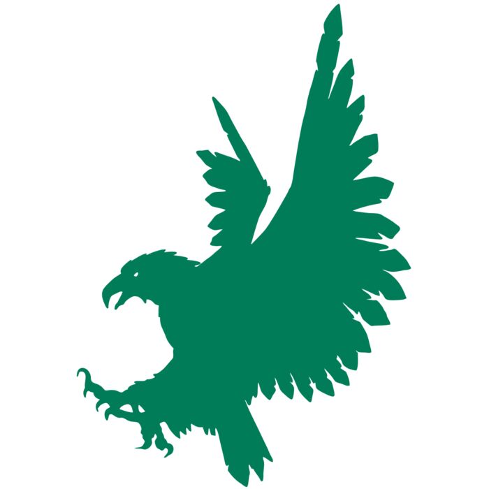 AR EAGLE 88 RC Vignette