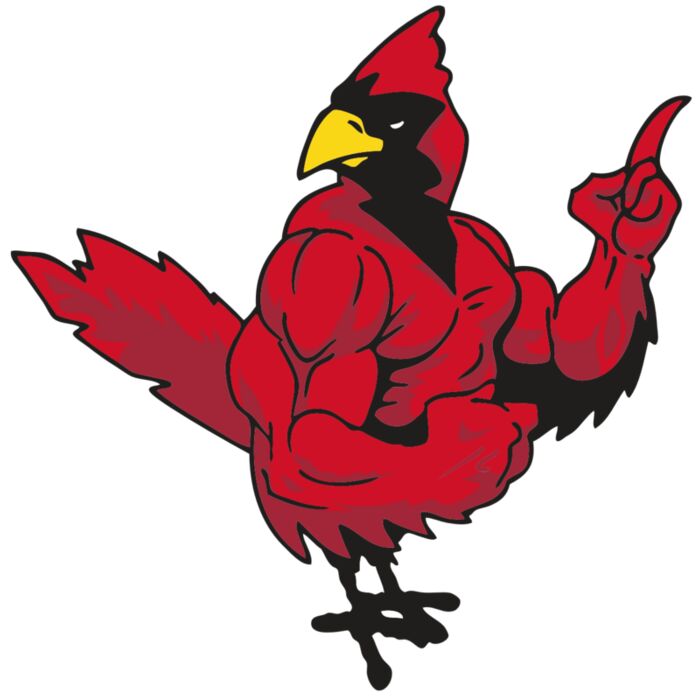 AR CARDINAL 27 RC Vignette