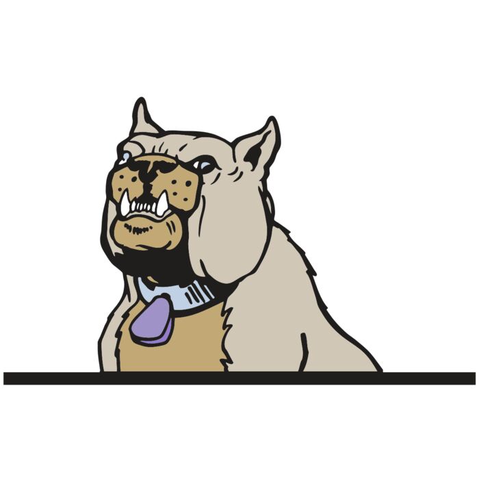 AR BDOG 57 RC Vignette