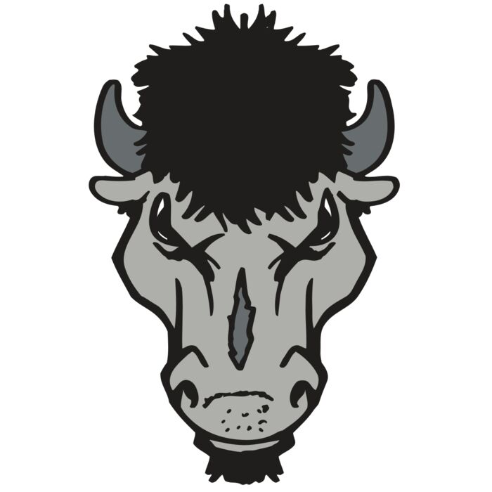 AR BUFFALO 15 RC Vignette