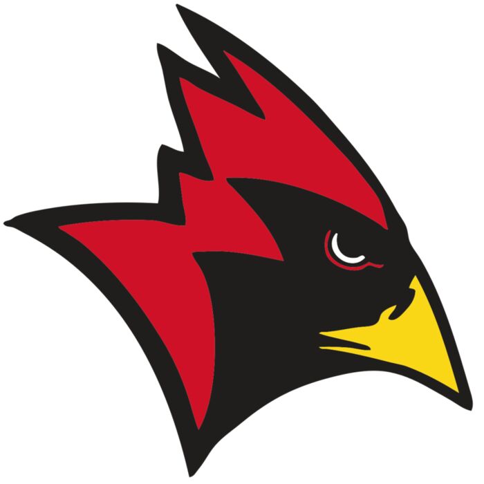 AR CARDINAL 23 RC Vignette