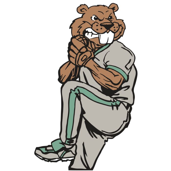 AR5 BASE BEAVER 01 RQC Vignette