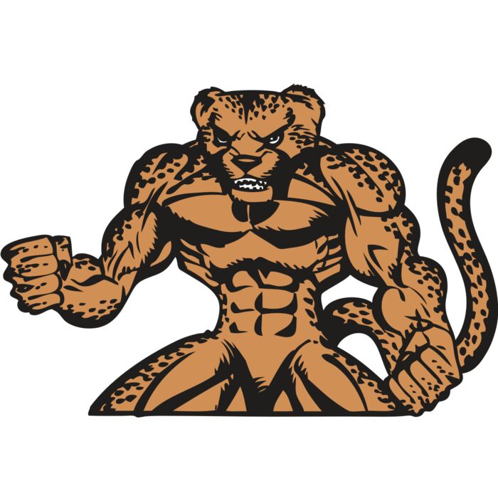 BAW CHEETAH 07 RC Vignette