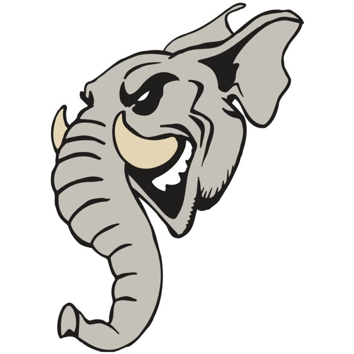 AR5 Elephant 11 RQC Vignette