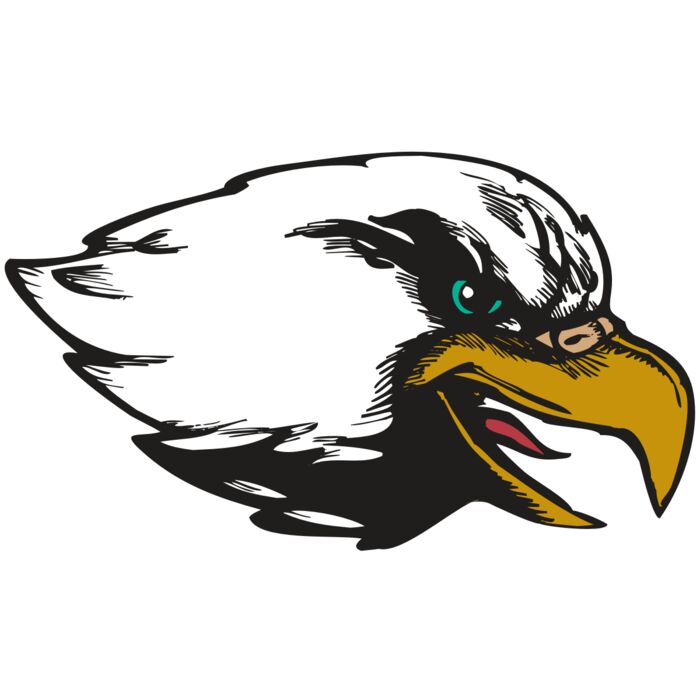 BAW EAG 09 RC Vignette