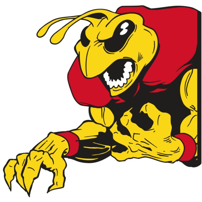 AR5 BEE 28 RQC Vignette