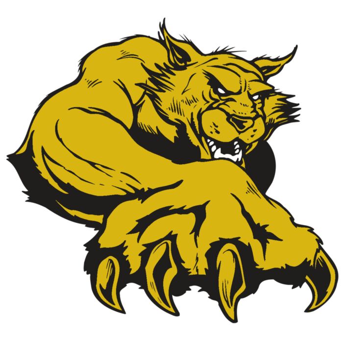 AR WILDCAT 26 RC Vignette