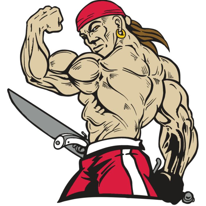 AR5 PIRATE 39 RQC Vignette