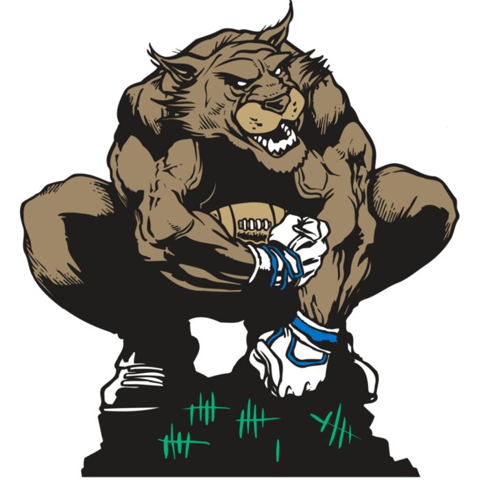 AR WILDCAT 34 RC Vignette